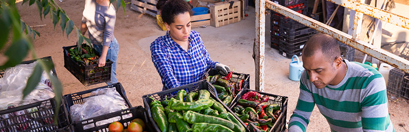 People shopping at market
