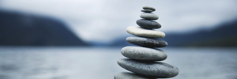 Uploaded image from wordpress with no pre-existing alt text Uploaded image from wordpress with no pre-existing alt text