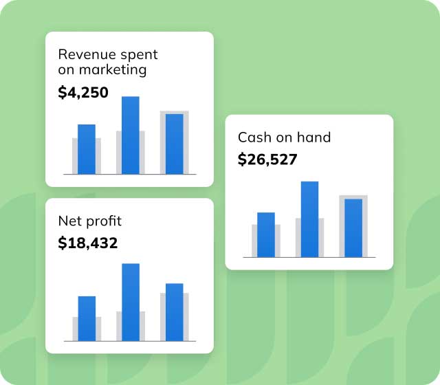 Graphic of LivePlan graph content